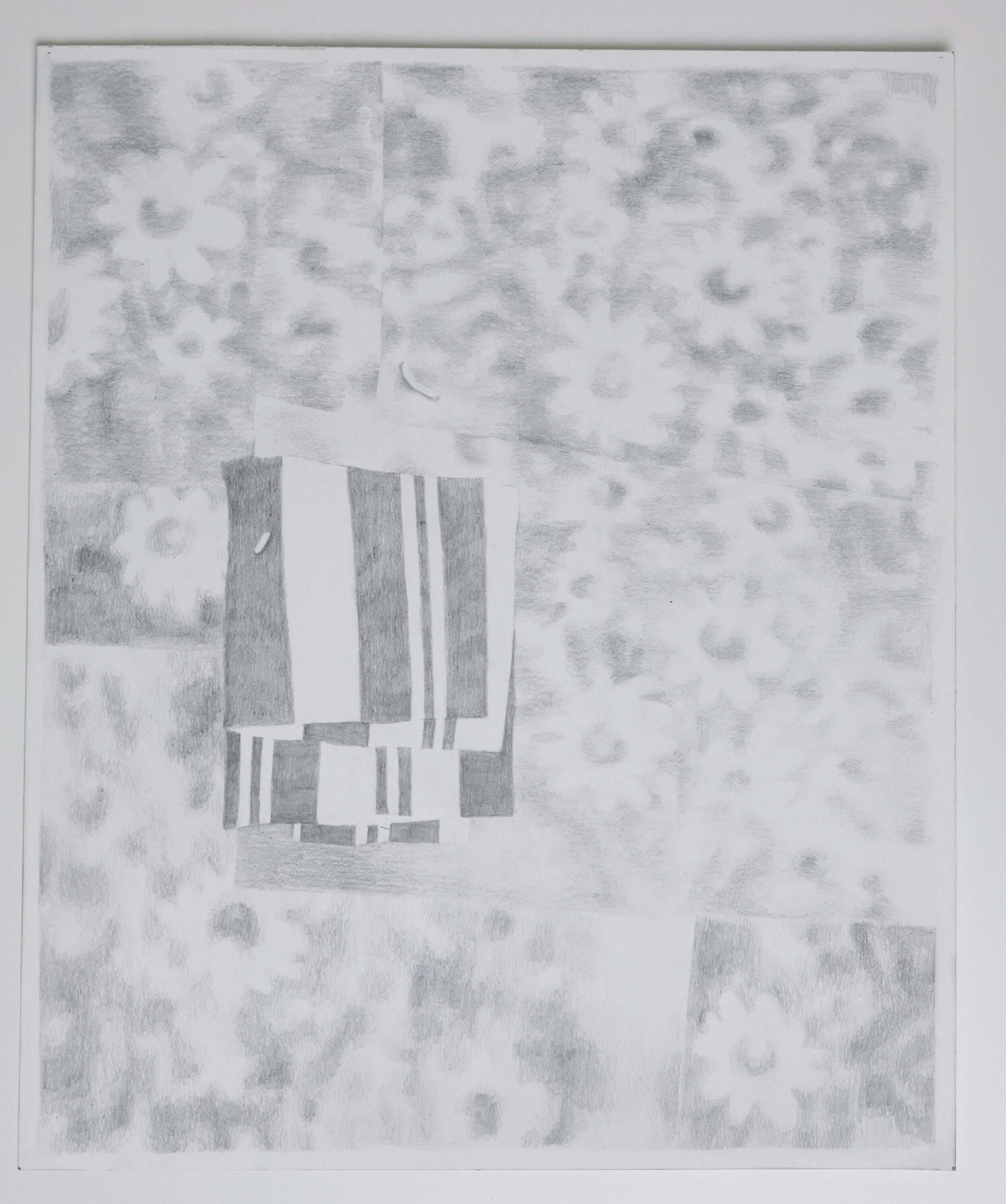  Untitled (Garden and Textile)  Graphite on Bristol paper 2021  14” x 17” 