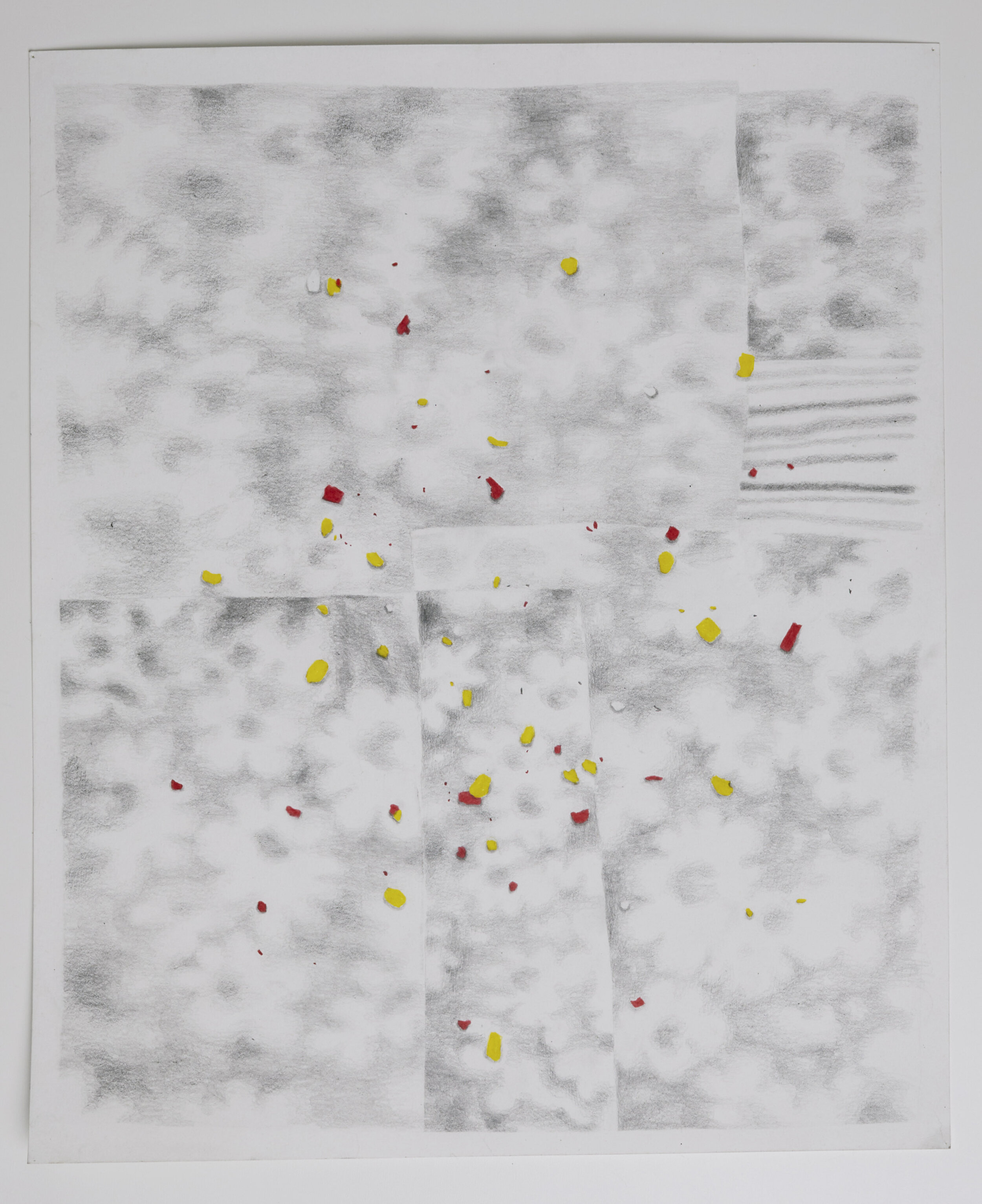  Untitled (soft garden)  Graphite and Colored Pencil on Bristol paper 2021  14” x 17” 