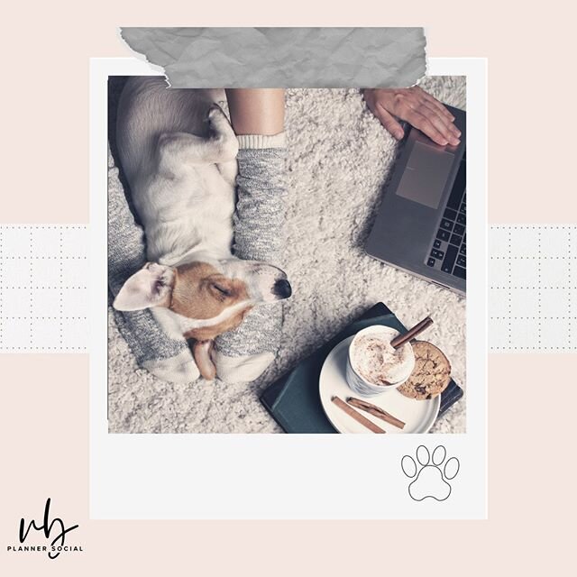 For those of you currently working from home, how are your four legged &quot;coworkers&quot; feeling about it? Let us know in the comments! ⠀⠀⠀⠀⠀⠀⠀⠀⠀
⠀⠀⠀⠀⠀⠀⠀⠀⠀
⠀⠀⠀⠀⠀⠀⠀⠀⠀
⠀⠀⠀⠀⠀⠀⠀⠀⠀
#petsofinstagram #vbplannersocial #plannercommunity #workingfromhome