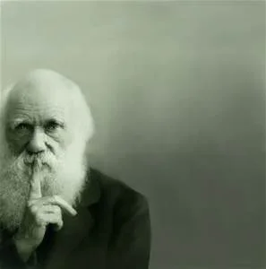 Darwin.jpg