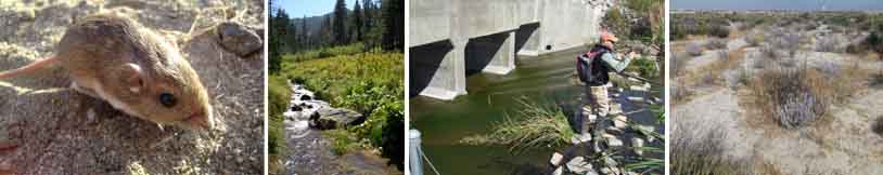 Photos courtesy of ICF International & Kerwin Russell/Riverside-Corona Resource District