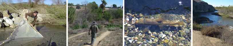 Photos courtesy of ICF International & Kerwin Russell/Riverside-Corona Resource District