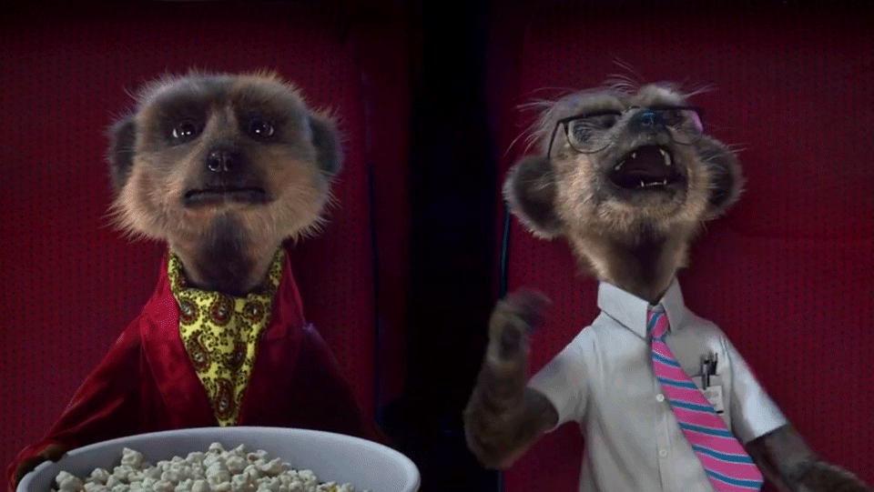 MeerkatMovies.gif
