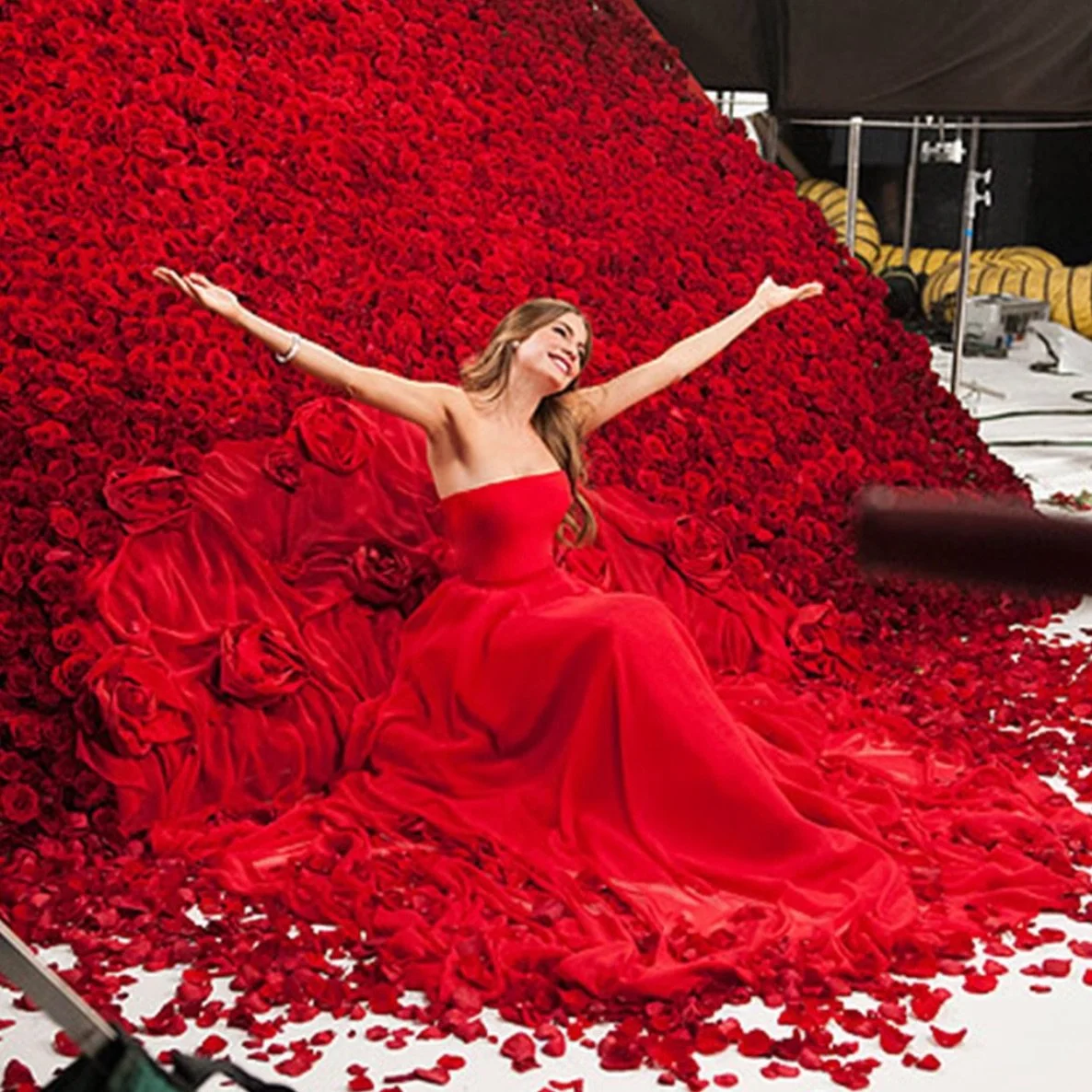 Surrounded in love, Sophia Vergara wears Romona Keveza 
#celebritiesinromonakeveza 
#celebritieswearingromonakeveza