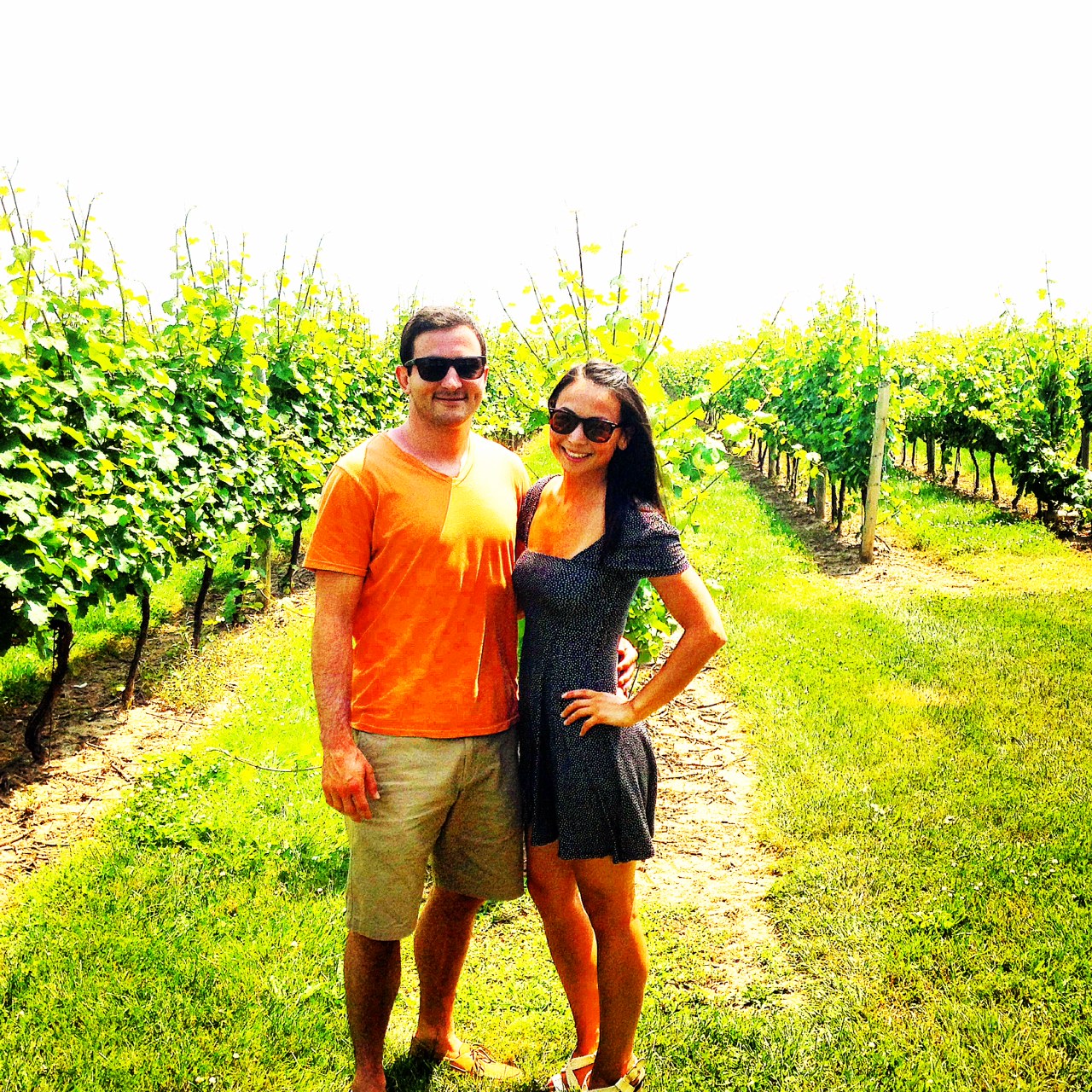 The Vineyards