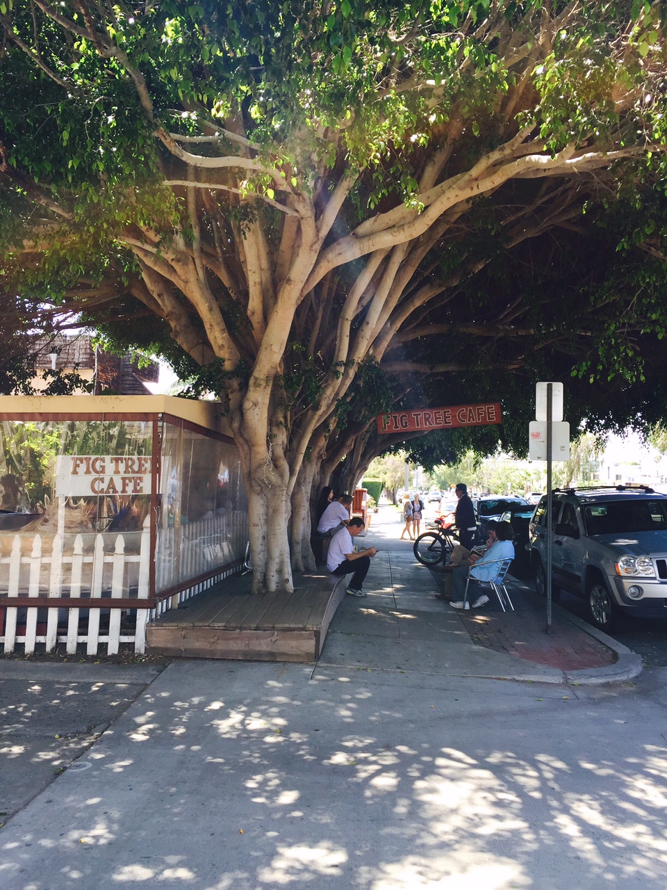 image4 (5).jpeg