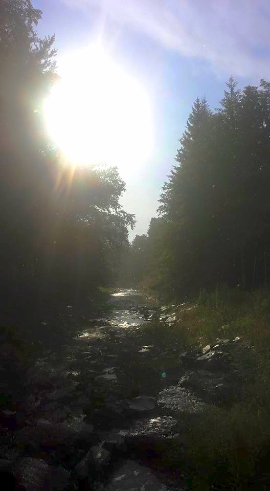 The creek behind the schoolhouse that, shockingly enough, no one fell into.