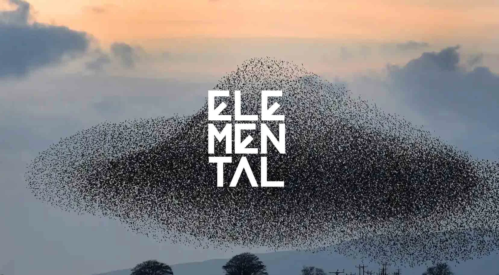 elementalcover.jpg
