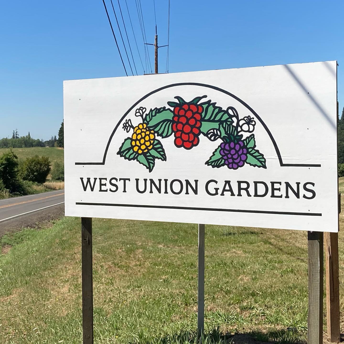 Some classic farm signage for @westuniongardens. Designed by @carithedesigner and painted by me!  #signpainter #ioafs #farm #upick #oregon #sign #signage #billboard