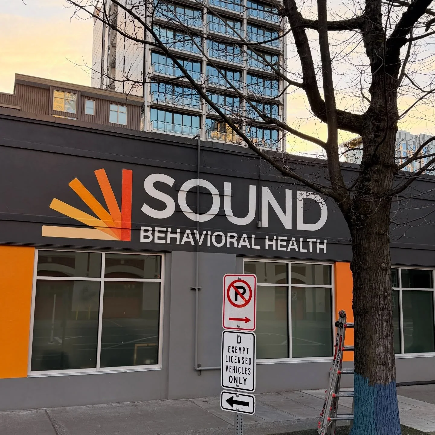 New street signage for @soundbehavioralhealth in belltown. Big thanks to @houseofsorcery for the referral and @peyboyarts for the assist. #signs #ioafs #signwriting