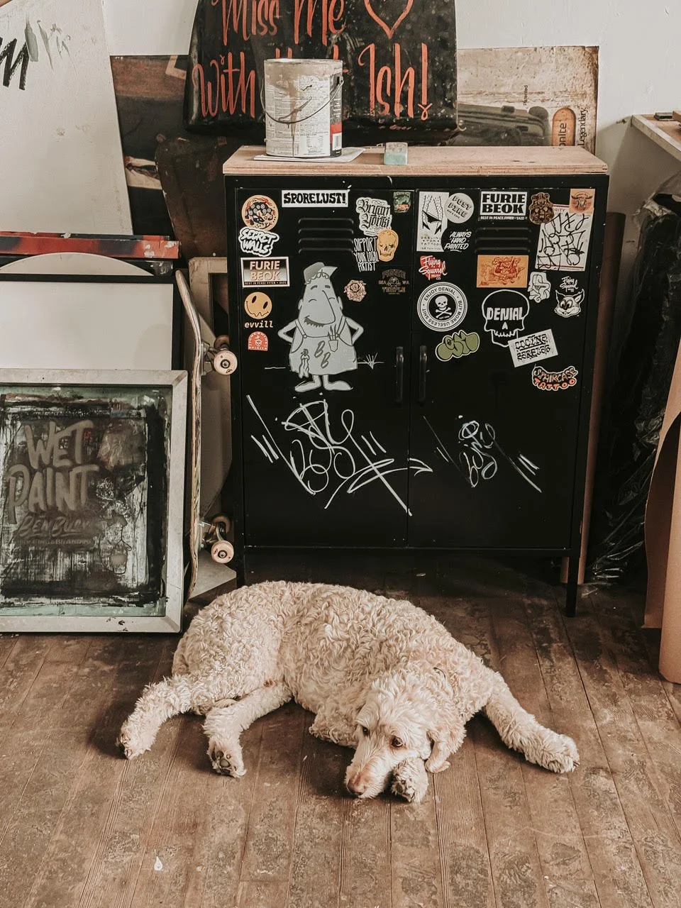 A white, curly-haired dog lying on a wooden floor in front of a black cabinet covered with colorful stickers, surrounded by various objects including a skateboard, canvas frames, and a container on top of the cabinet. A sign behind the cabinet reads 