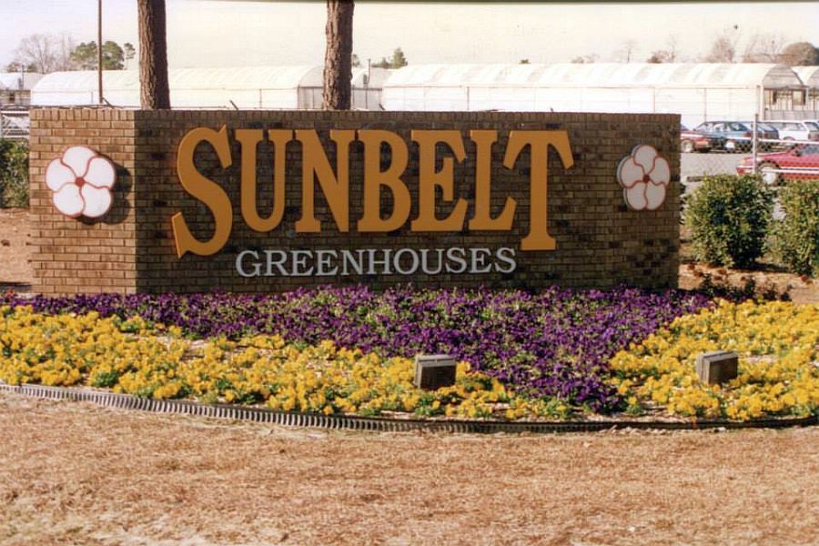 sunbelt-vintage-18.jpg
