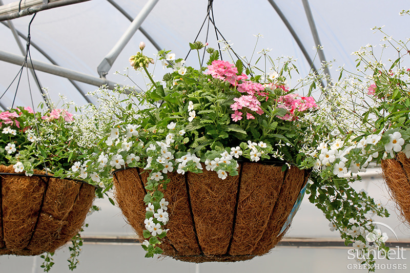 14" Coco Hanging Basket