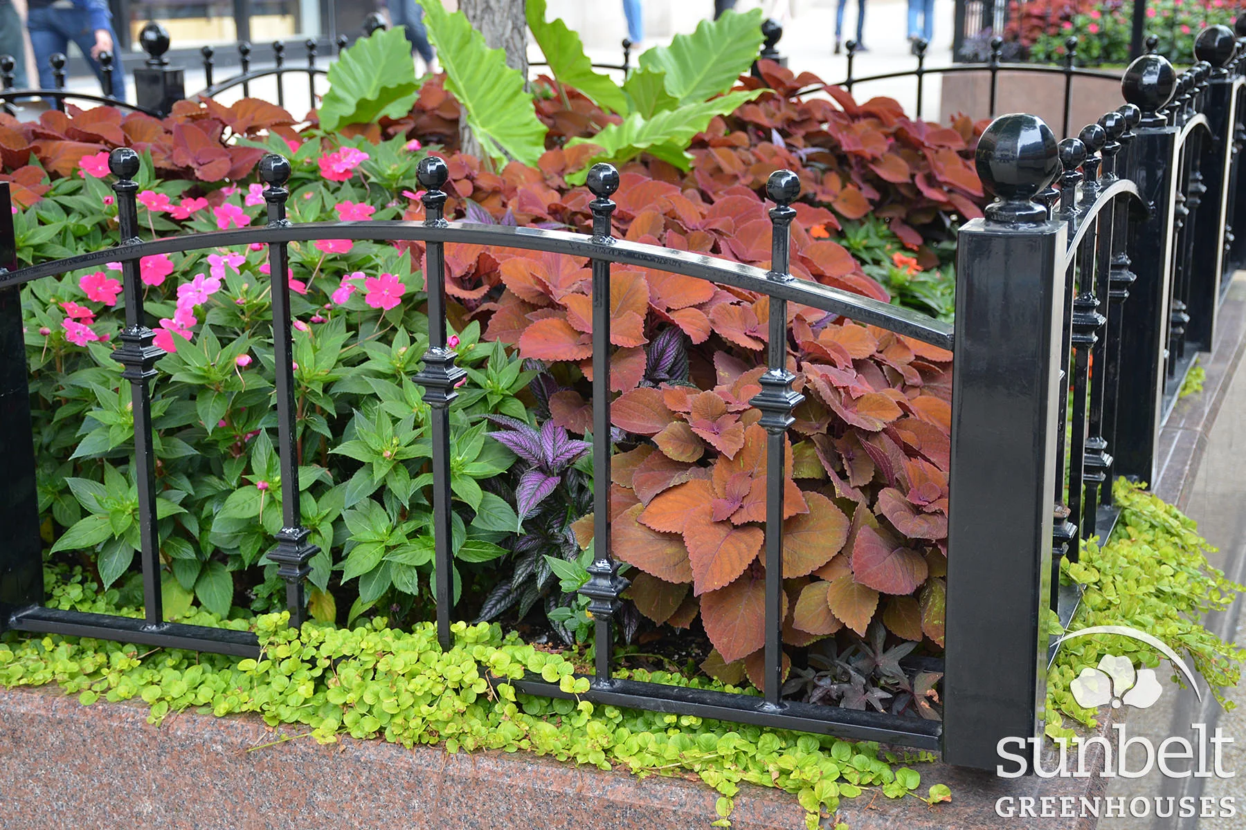 2015-08-19-chicago-landscaping-01.jpg