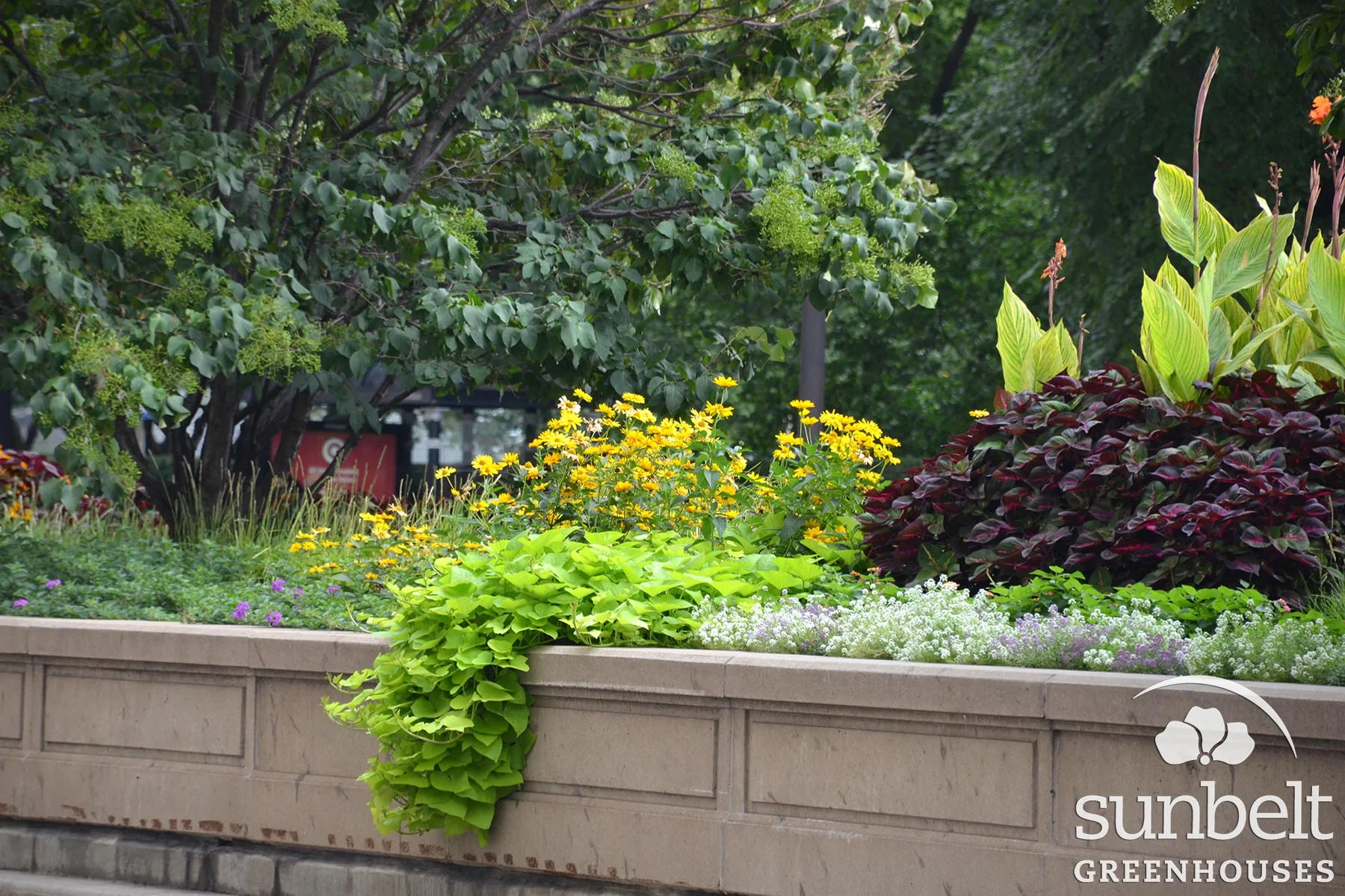 2015-08-19-chicago-landscaping-04.jpg