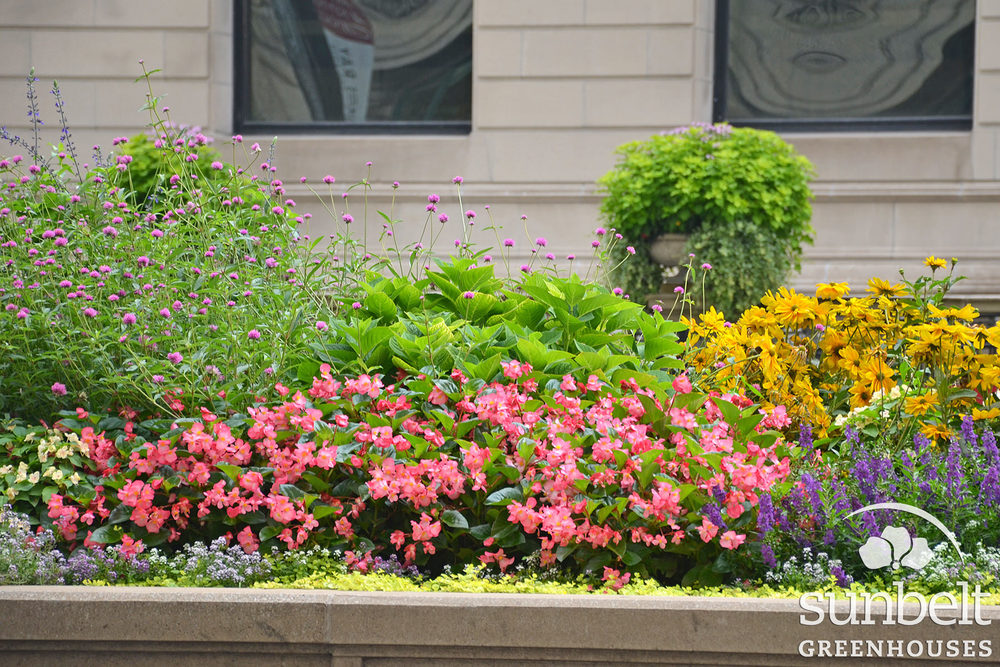 2015-08-19-chicago-landscaping-03.jpg