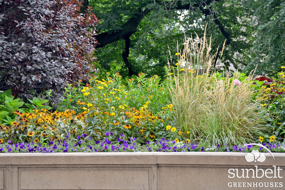 2015-08-19-chicago-landscaping-06.jpg