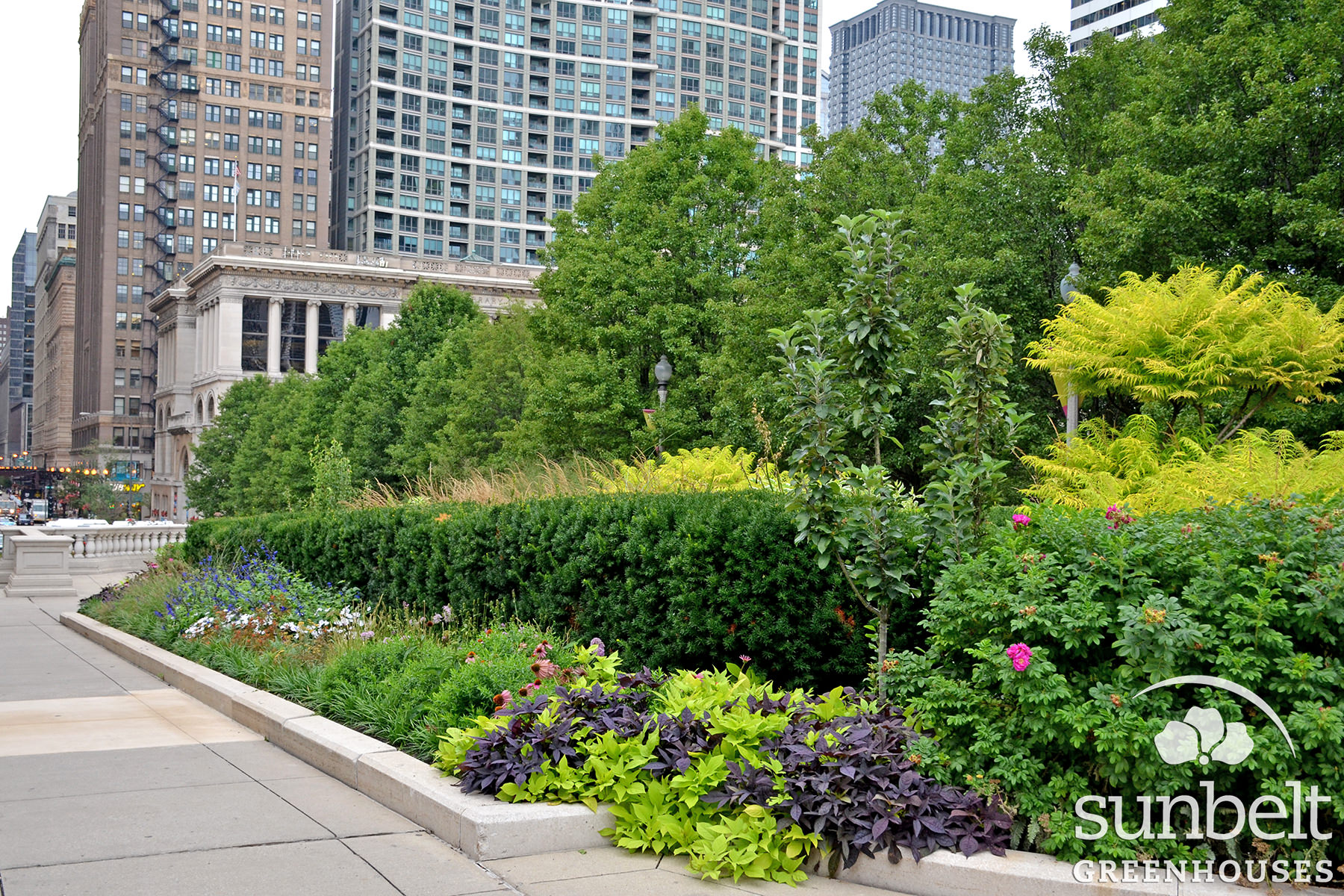 2015-08-19-chicago-landscaping-09.jpg