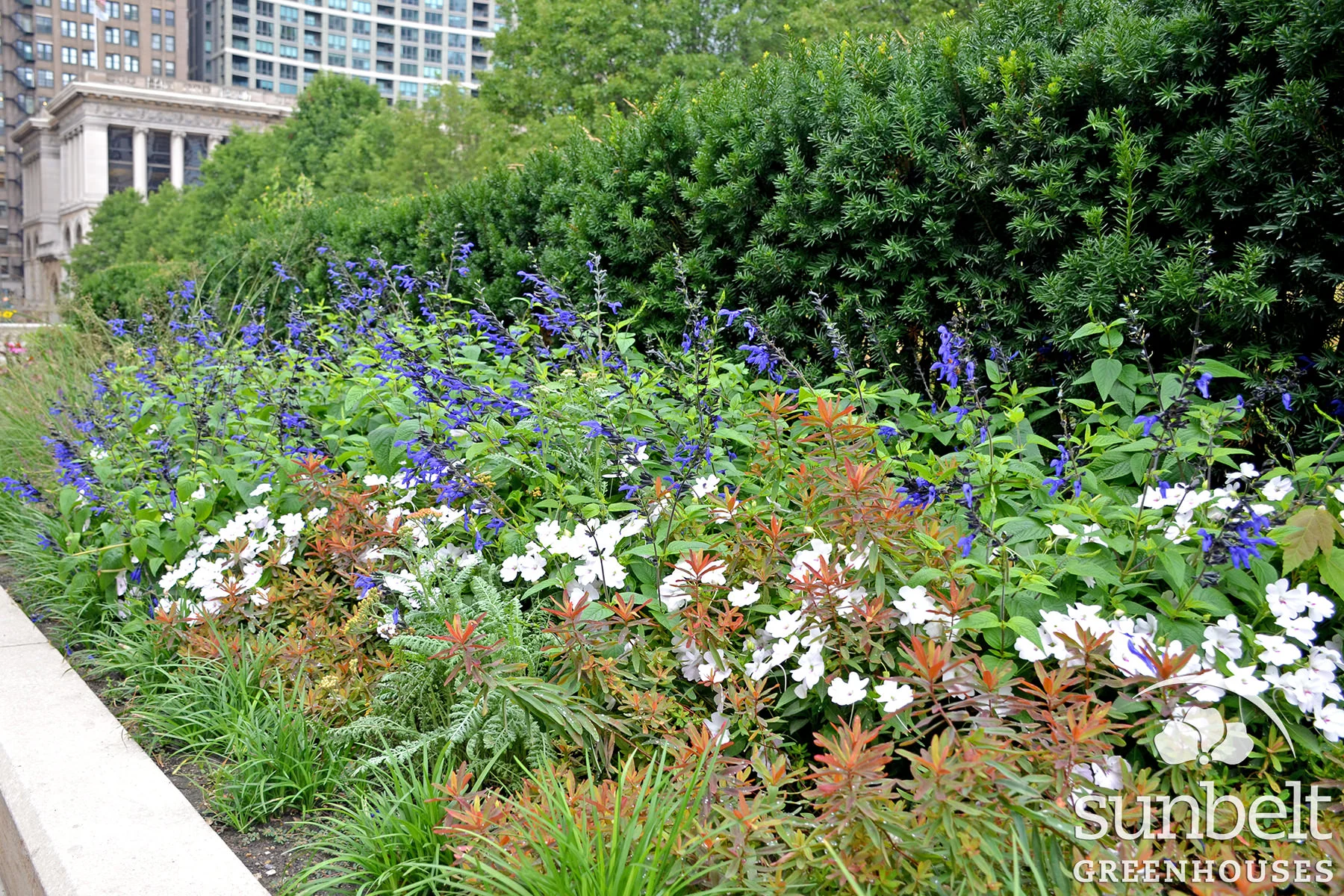 2015-08-19-chicago-landscaping-10.jpg