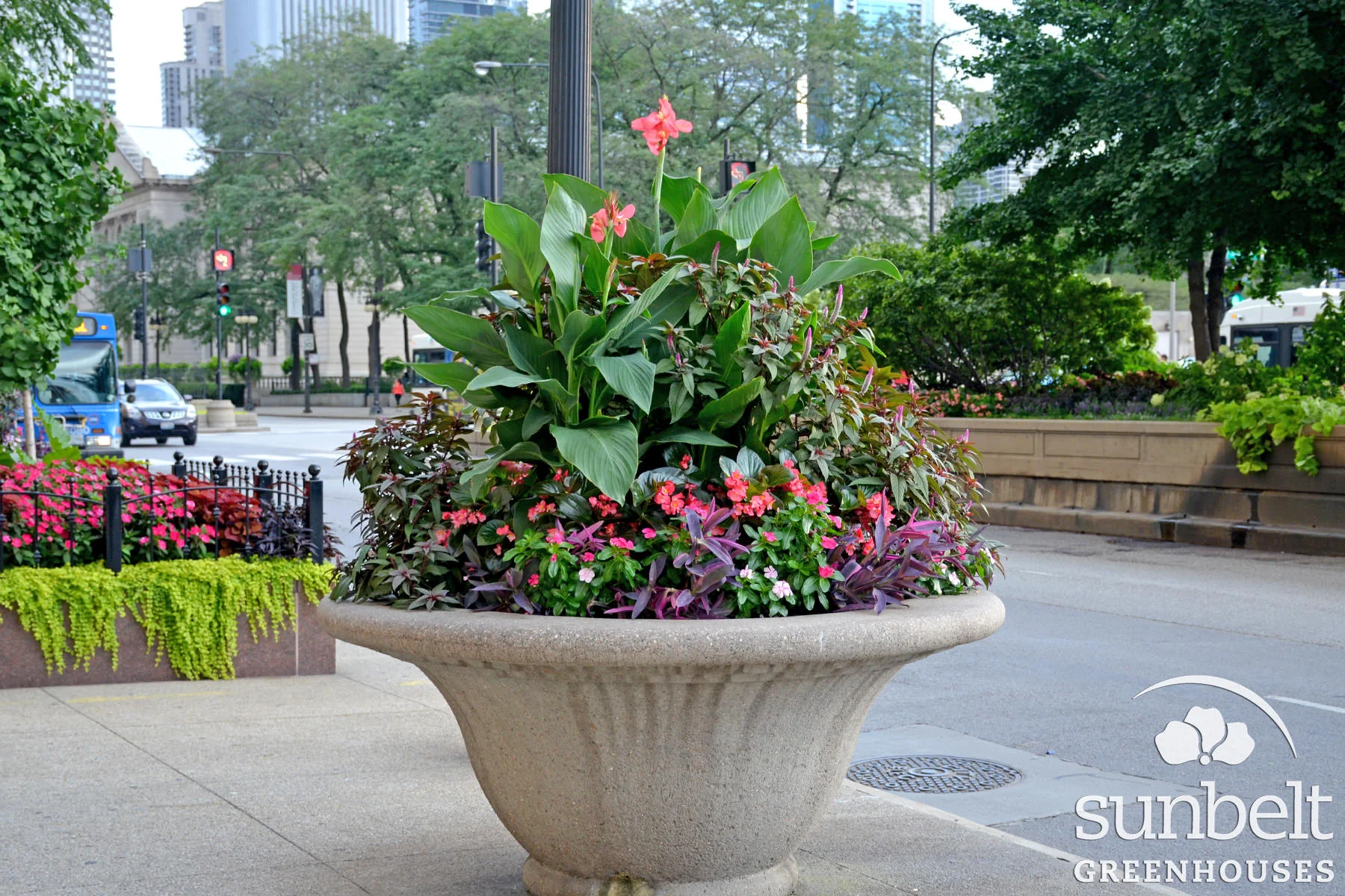 2015-08-19-chicago-landscaping-16.jpg