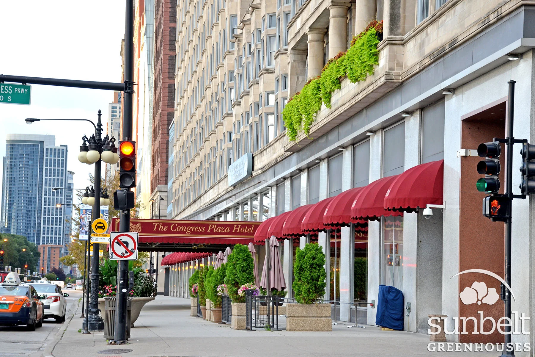 2015-08-19-chicago-landscaping-20.jpg