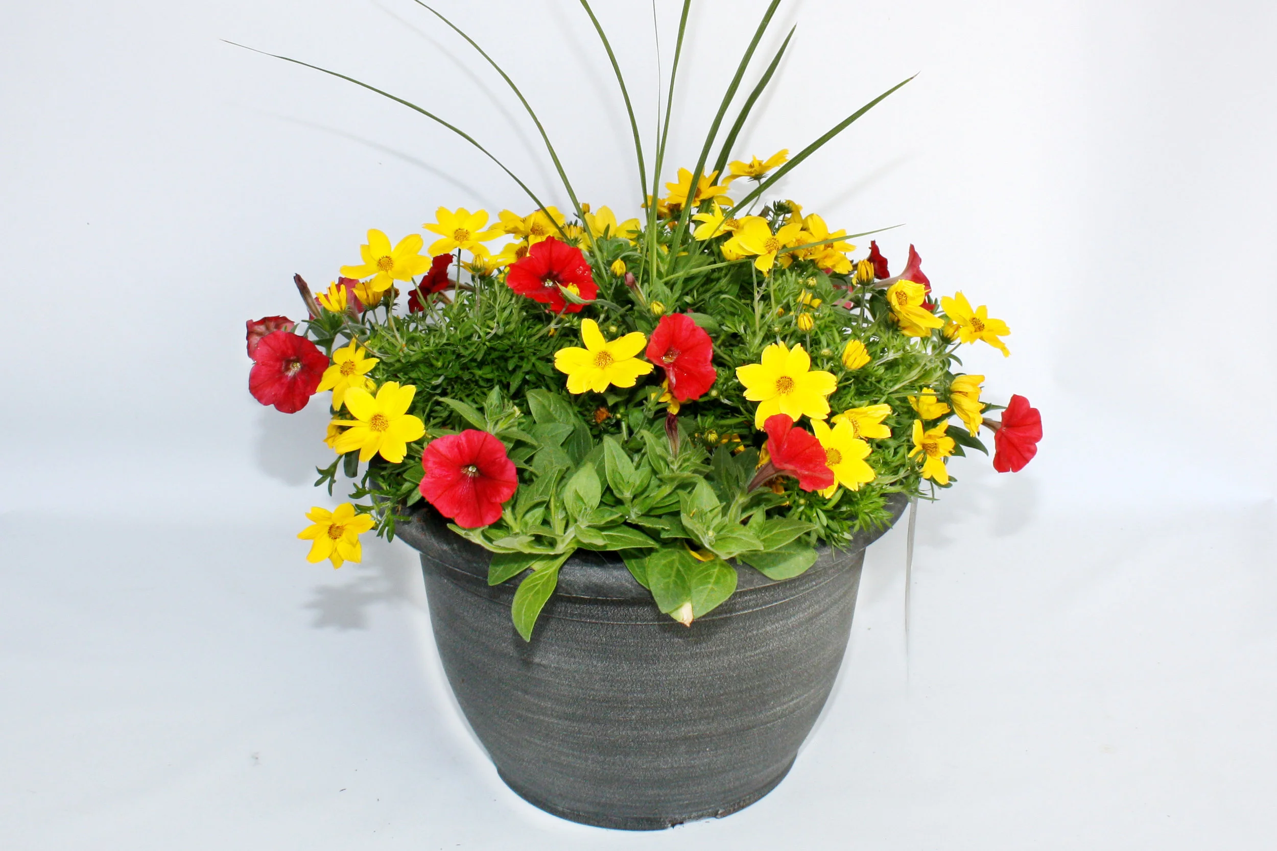sunbelt-spring-program-planters.jpg