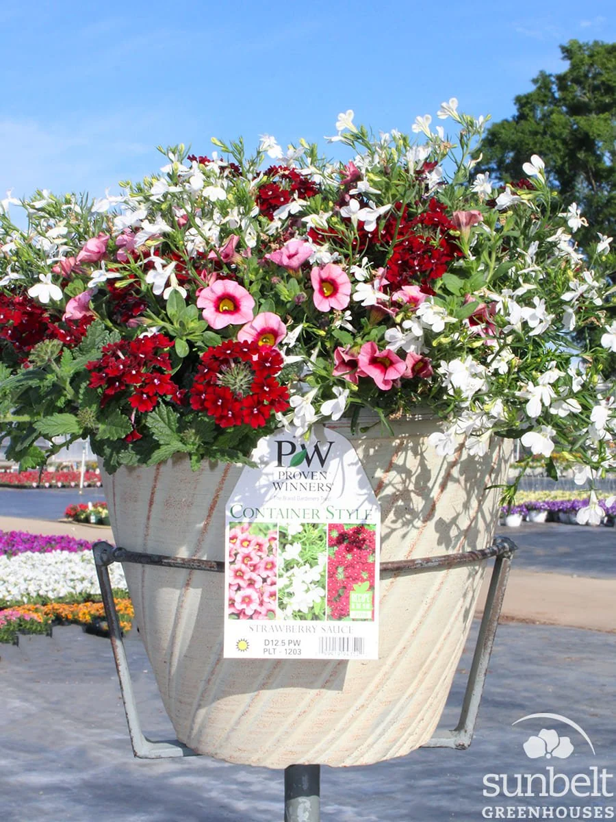 12.5" PW Strawberry Sauce