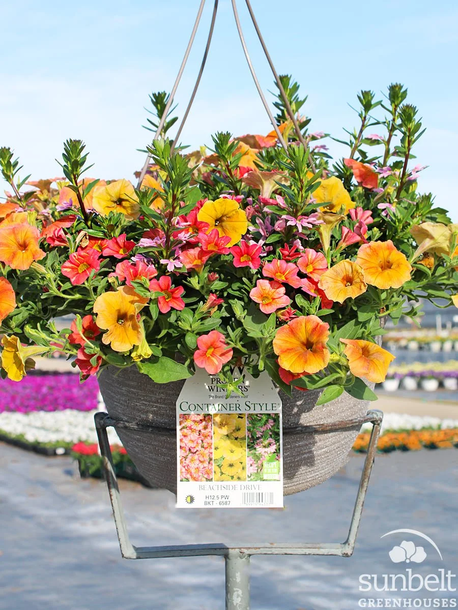 12.5" HB PW Beachside Drive