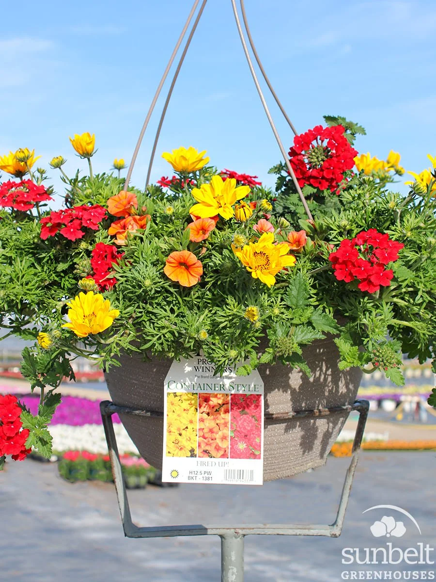 12.5" HB PW Fired Up