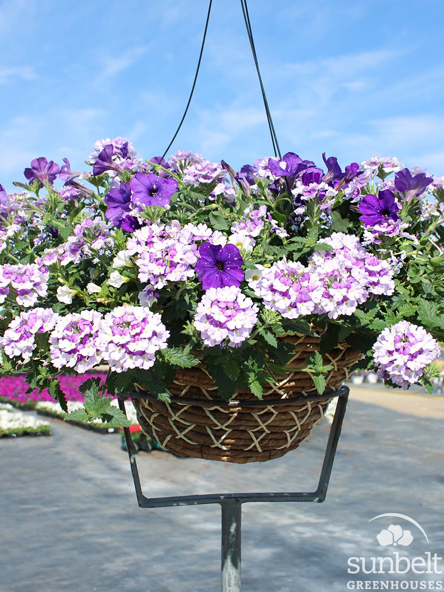 14" HB Wicker Combo #13654