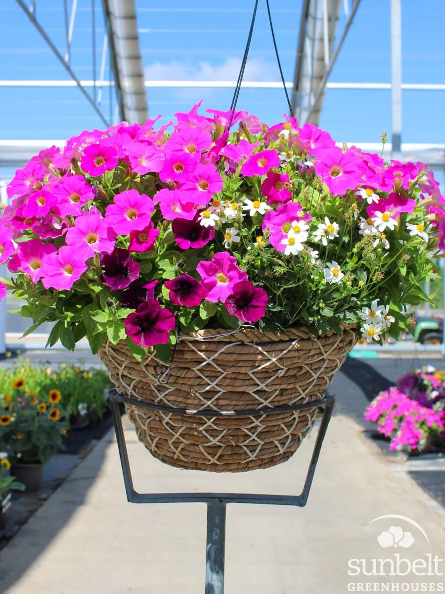 14" HB Wicker Combo #1226