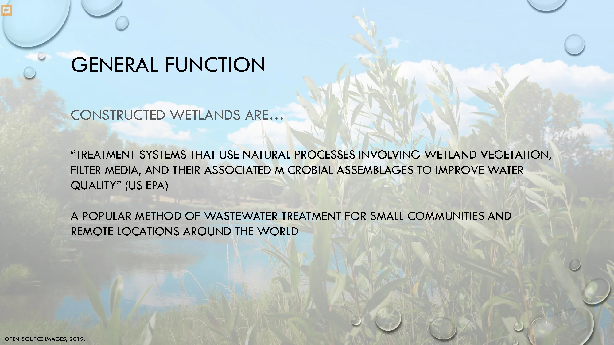 Constructed Wetlands_Page_11.jpg