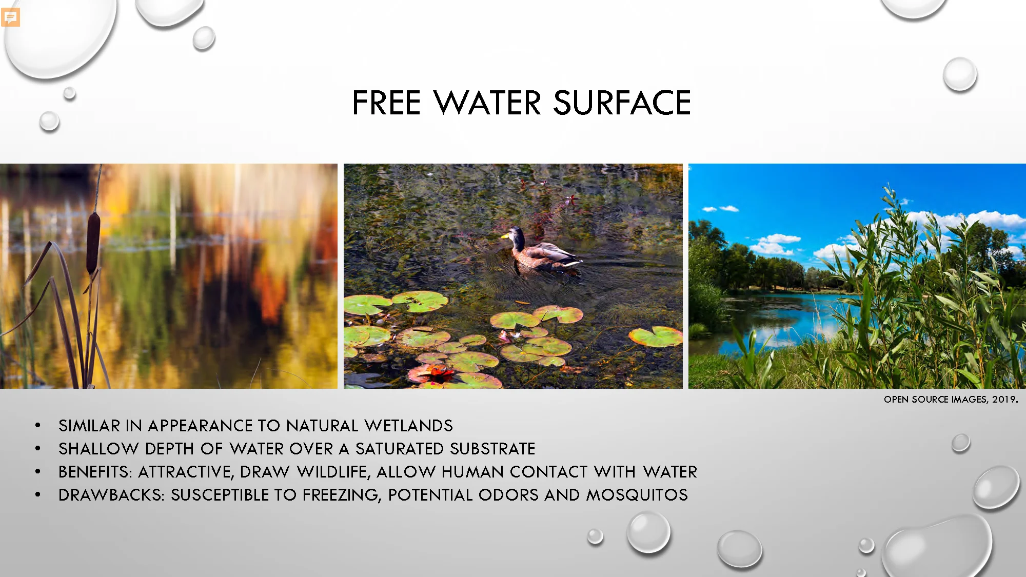 Constructed Wetlands_Page_13.jpg
