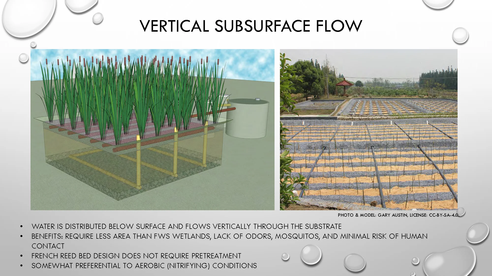 Constructed Wetlands_Page_15.jpg
