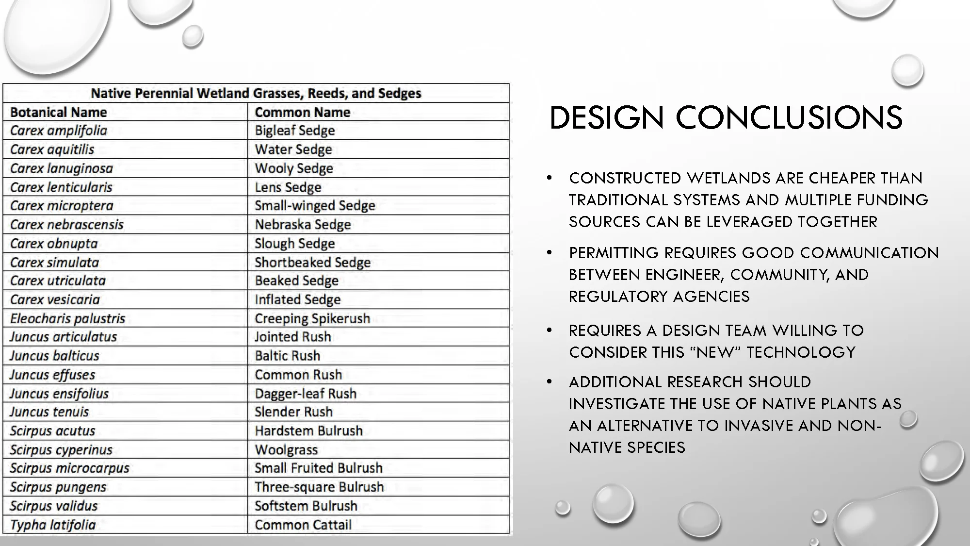 Constructed Wetlands_Page_51.jpg
