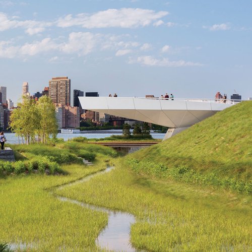 Free Webinar: Biodiversity and Climate Action 101 Webinar Series
