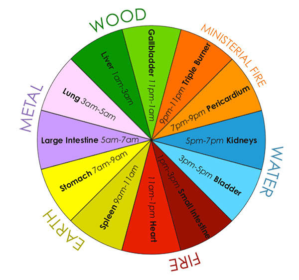 The 5 Elements through the day (I could not find the original artist for this image)