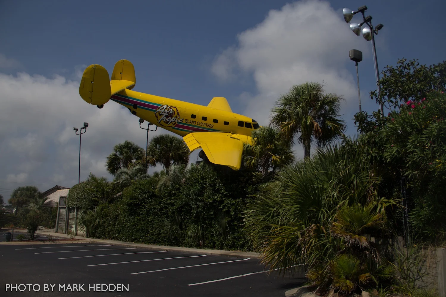 Plane (1 of 1)