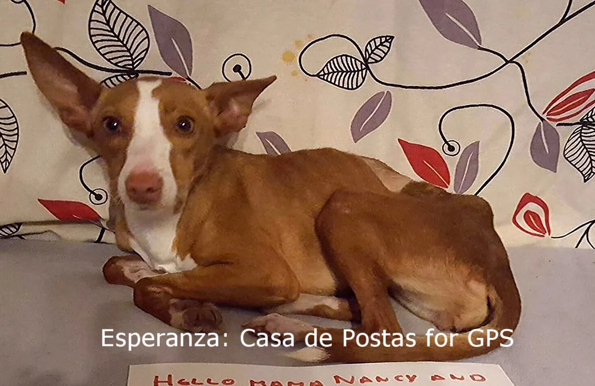 Esperanza2.jpg