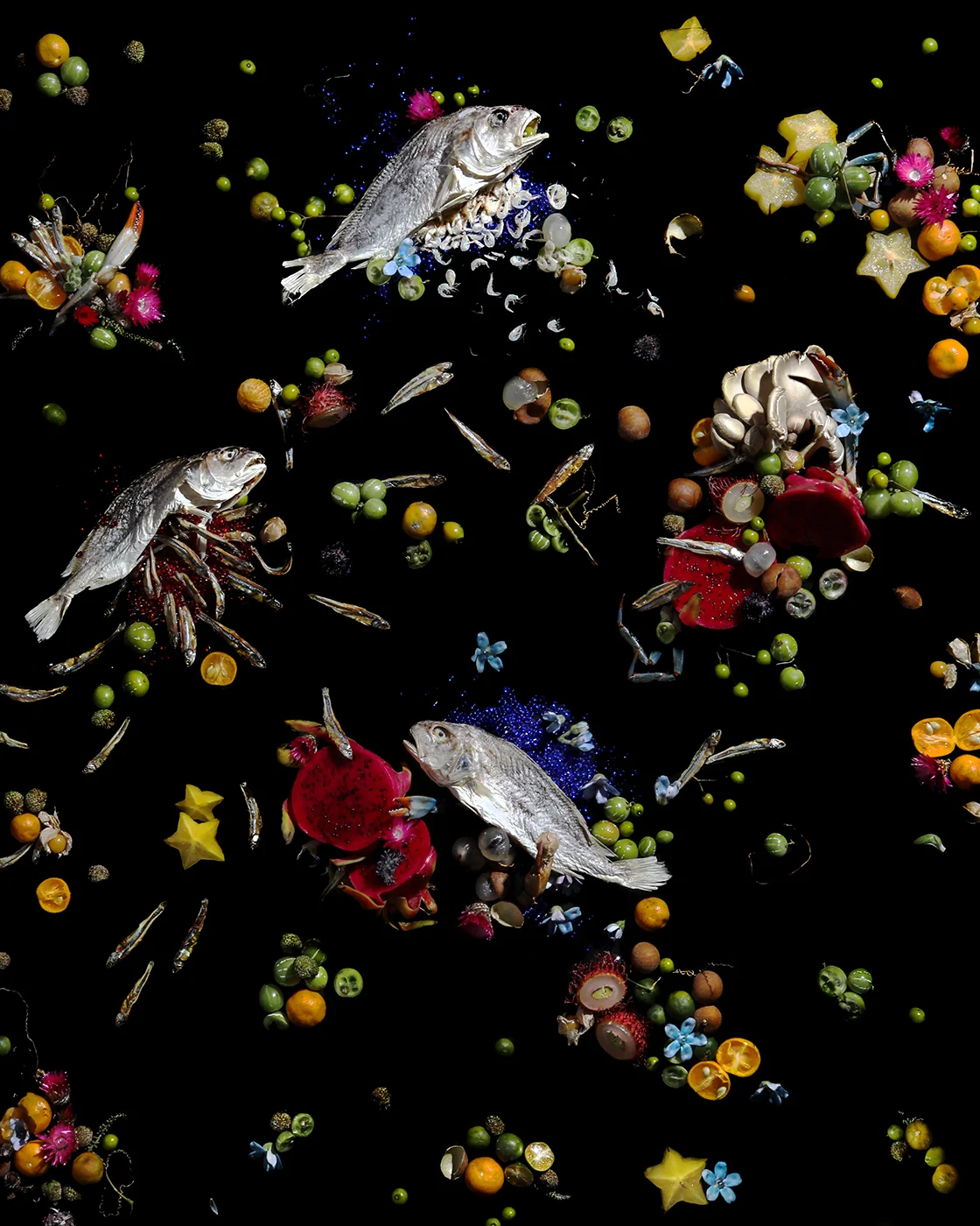 Dutch Still Life with Renko