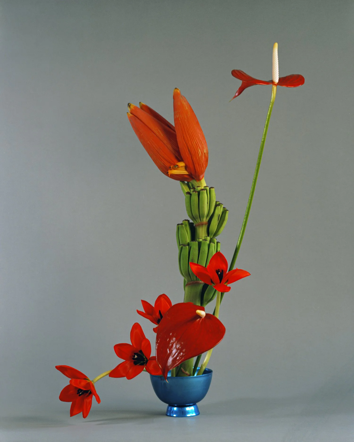 Ikebana collaboration with Emily Scott