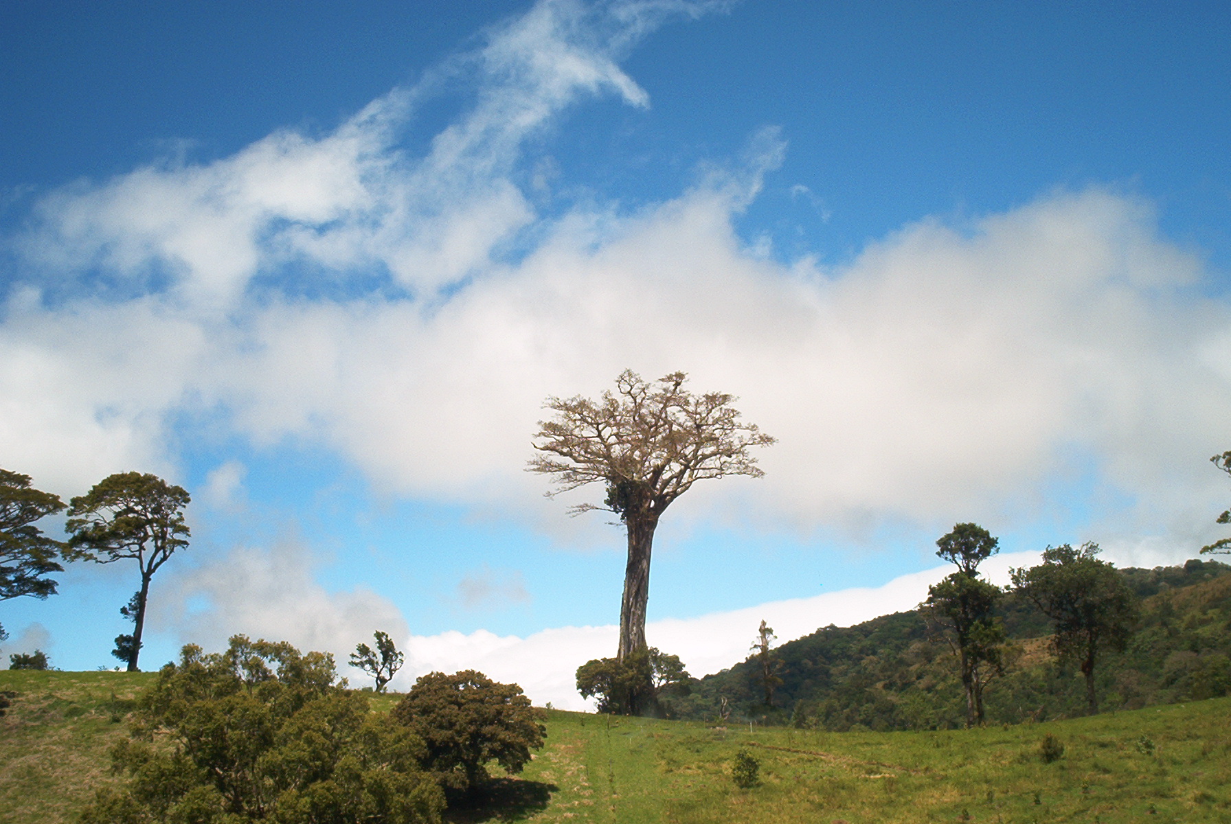 volcan 133.jpg