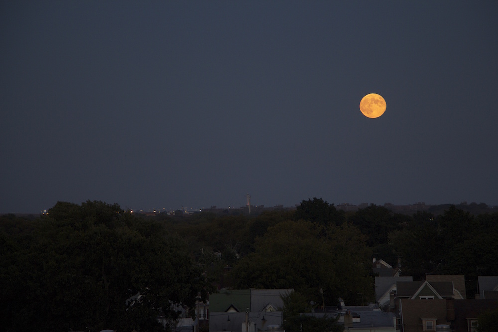 Photo by Sienna Brown: Brooklyn —Aug 25, 2014