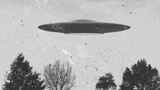 sightings.png