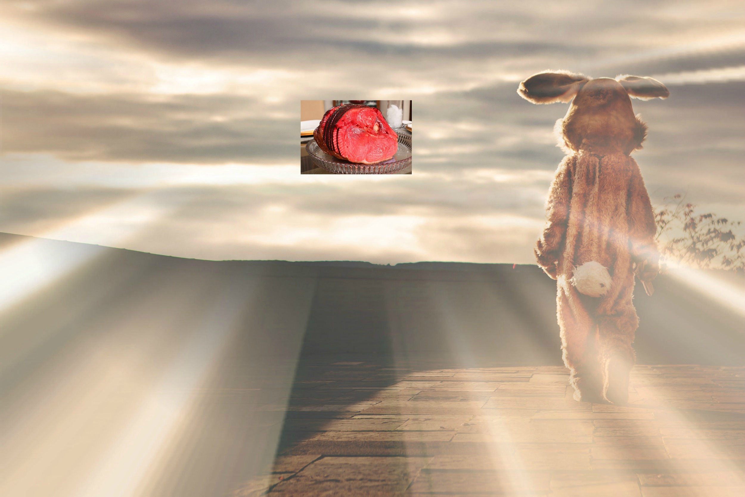 BUNNY beam w ham.jpg