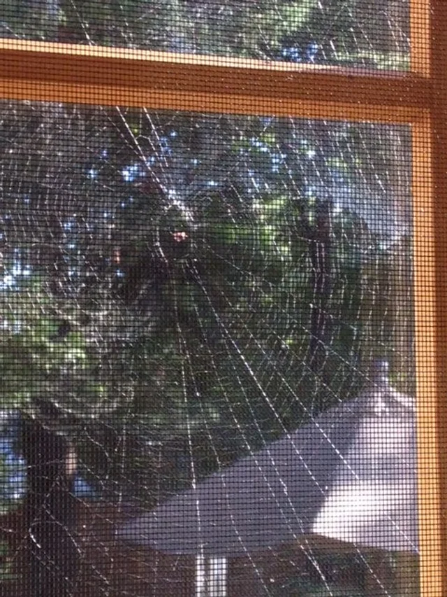 New web.jpg