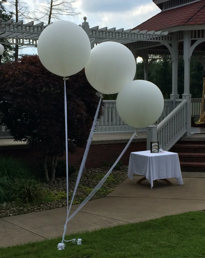On the back of Andrea and Brian's wedding program were these words: The balloons you see today are in remembrance of our family members who are no longer with us; especially Andrea's grandfather.&nbsp; On a terrifying day in San Francisco, the ballo…