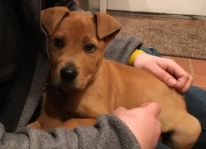 &nbsp;&nbsp;&nbsp;&nbsp;&nbsp;&nbsp;&nbsp;&nbsp;&nbsp;&nbsp;&nbsp;&nbsp;&nbsp;&nbsp;&nbsp;&nbsp;&nbsp;&nbsp;&nbsp;&nbsp;&nbsp;&nbsp;&nbsp;&nbsp;&nbsp;&nbsp; Welcome Chance!