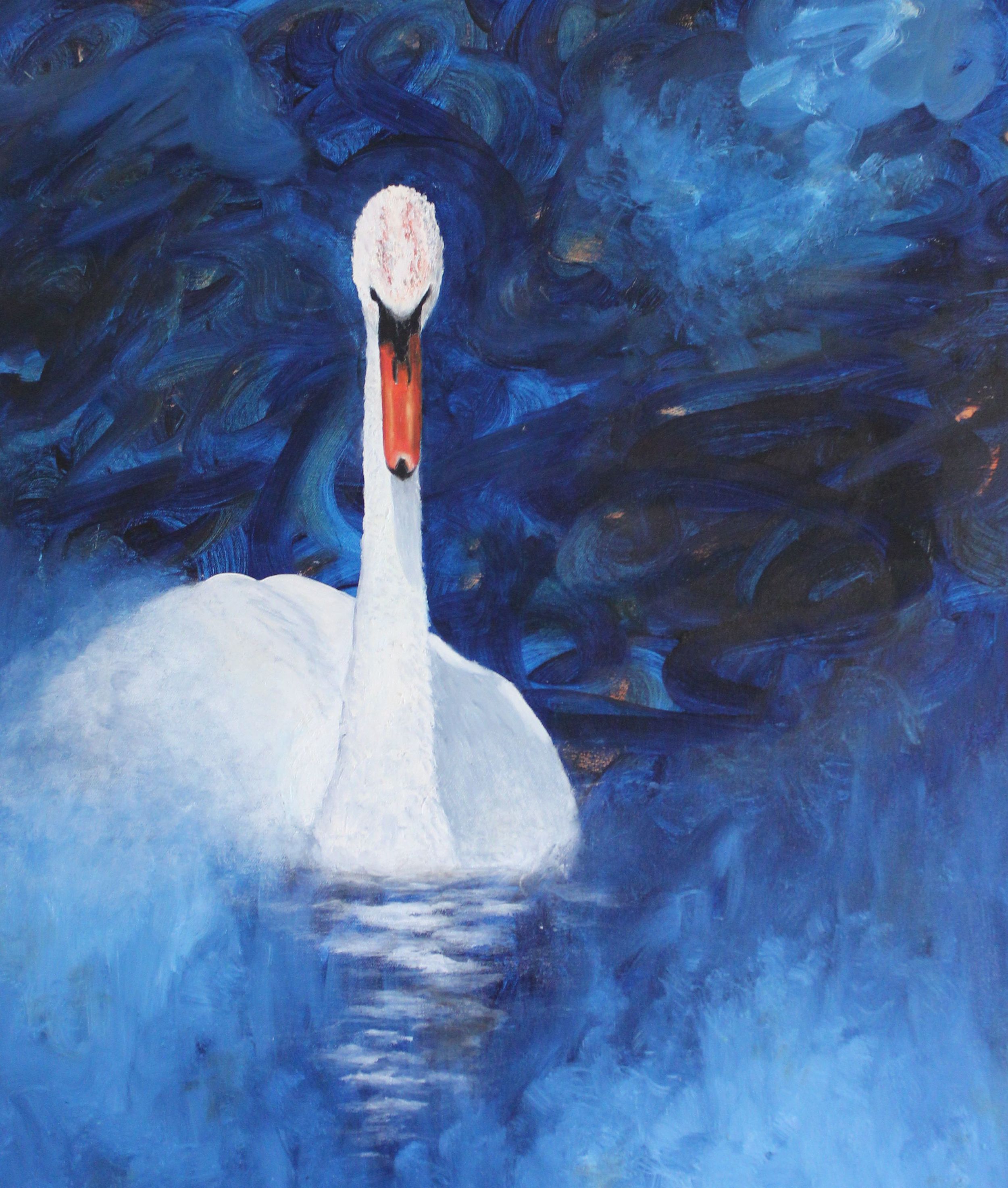 "Swan Study"