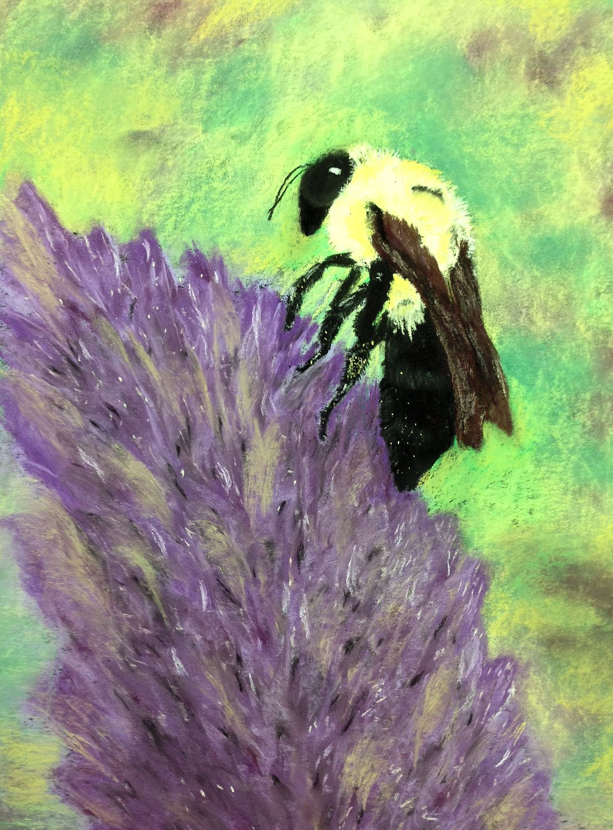 Bee study with purple flower